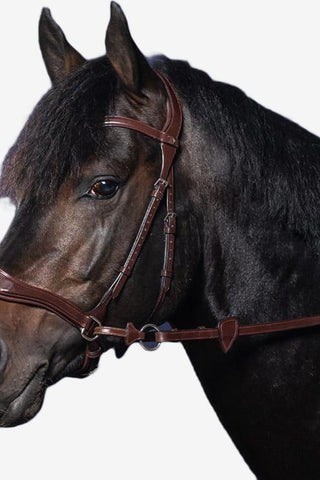 Dyón Träns D-Motion New English