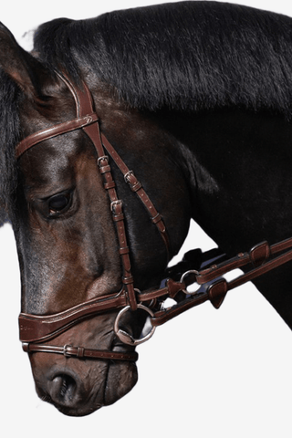 Dyón Träns D-Motion New English