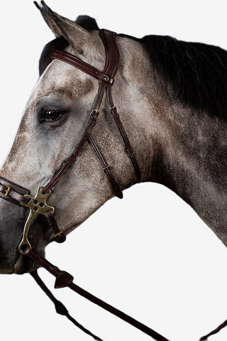 Dyón Träns För Hackamore New English