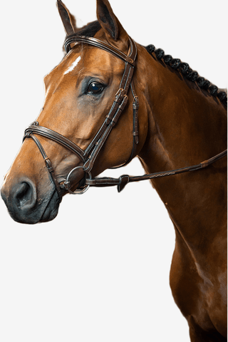 Dyón Träns Kombinerad Nosgrimma Dyon Collection