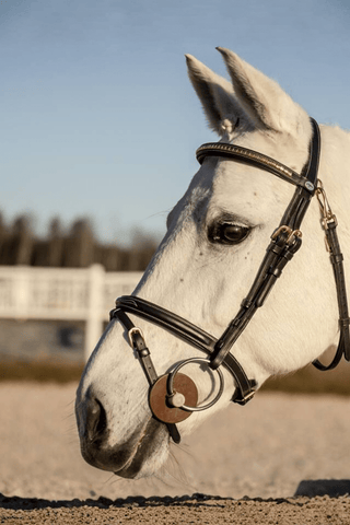 Dyón Träns Med Kombinerad Nosgrimma Mässing Working