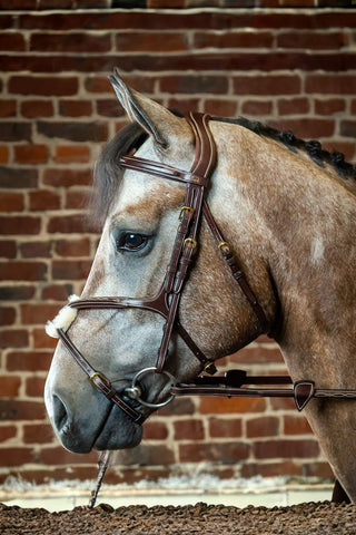 Dyón Träns Mexikansk Nosgrimma Dyon Collection