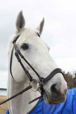 Remontnasenriemen Working