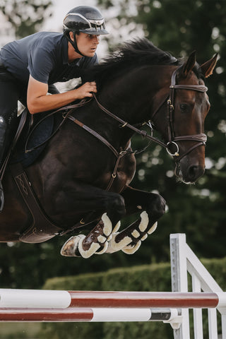 Brustgurt mit Brücke Dyon Collection Braun