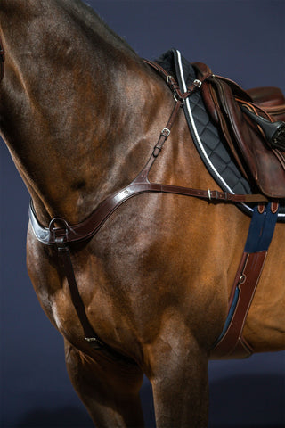 Collier de chasse 5 points New English Marron