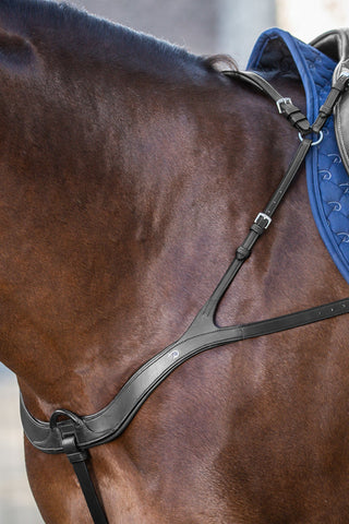 Borsttuig 5-punts New English Bruin