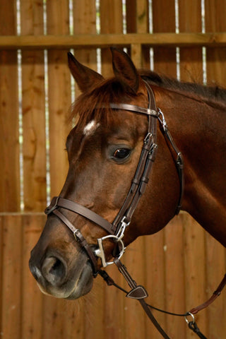 Glat Kombineret Næserem Working