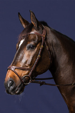 Ogłowie X-fit New English Brązowe