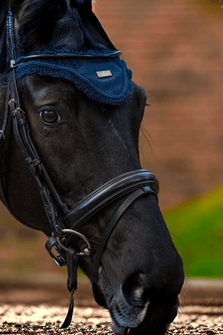 Equestrian Stockholm Huva