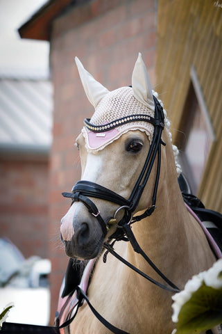 Equestrian Stockholm Huva