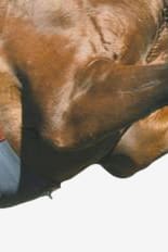 Eric Le Tixerant Sadelgjord