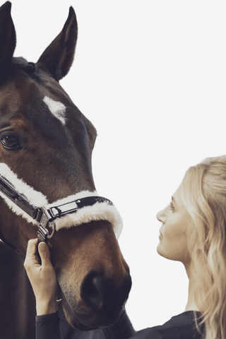 Eskadron Grimma Varnish Evo-Wool Reflexx