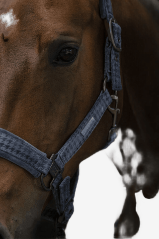 Eskadron Grimma Velvet Stamp