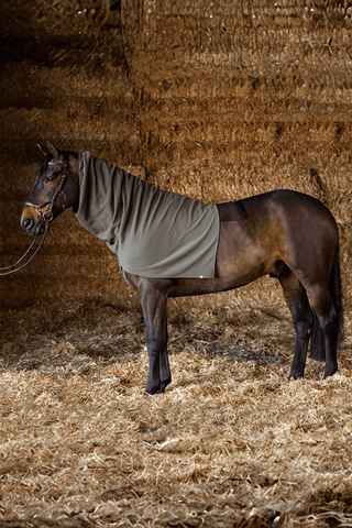 Get The Gallop Fleecehals