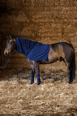 Get The Gallop Fleecehals