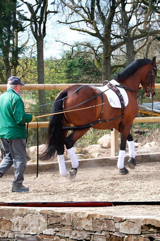 Globus Tömkörningstöm Läder