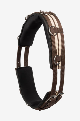 Globus Träningsgjord