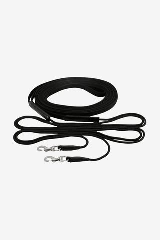 Horse Guard Cheval Körtöm