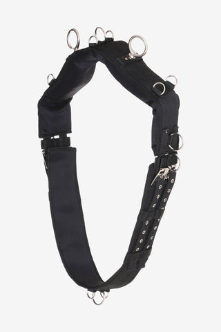 Horse Guard Cheval Longergjord