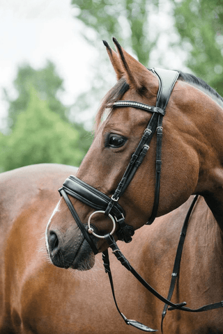 Horse Guard Classic Ergo Träns