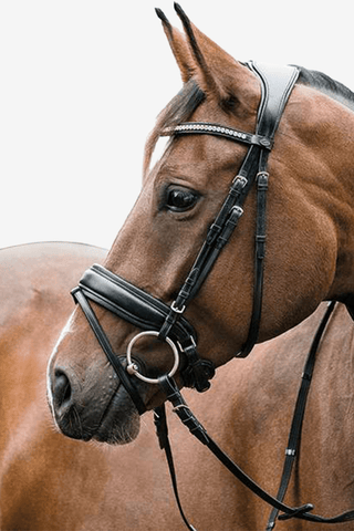 Horse Guard Classic Ergo Träns