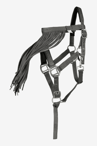 Horse Guard Diya Flugpannband