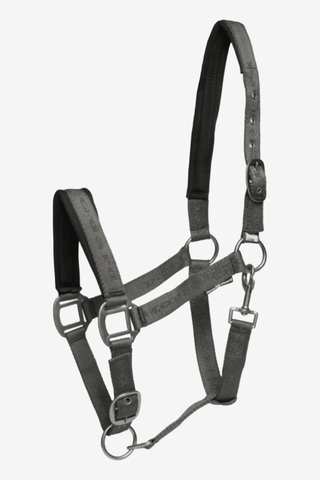 Horse Guard Diya Grimma