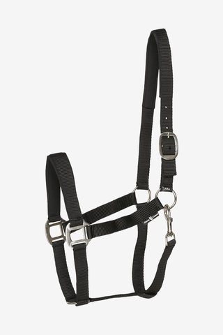 Horse Guard Nylongrimma