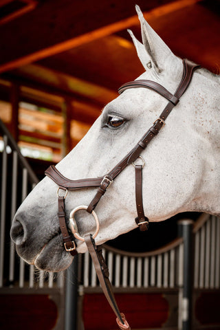 Micklem2 Konkurrence Trense