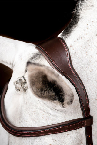 Micklem2 Competition Bridle