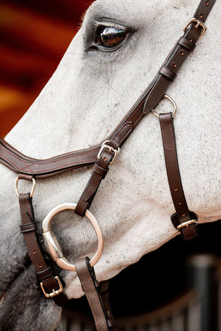 Micklem2 Competition Bridle