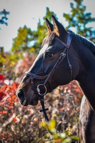 Ikonic Elite Anatomiskt Träns