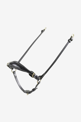 Ikonic Remontnosgrimma