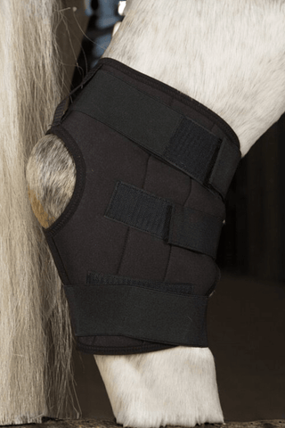 Incrediwear Equine Incrediwear Circulation Hasskydd
