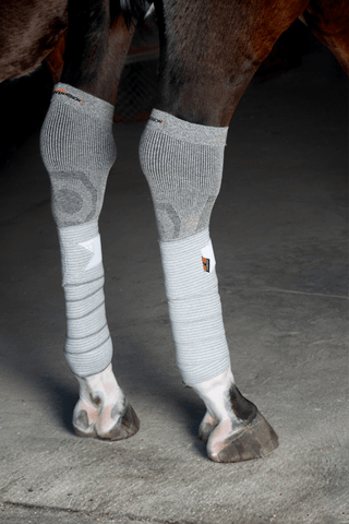 Incrediwear Equine Incrediwear Cirkulations Benlindor