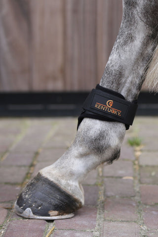 Young Horse Hind Boots