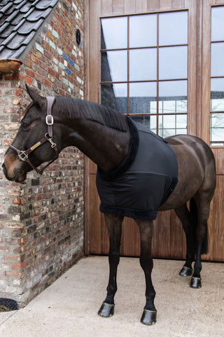 Protection de Poitrail Noir