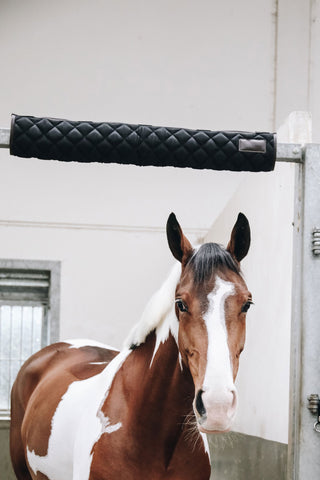 Boxbeschermer Bordeaux