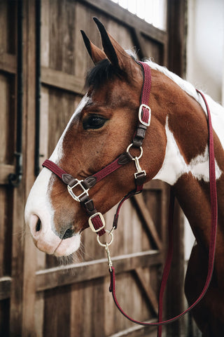 Geweven Nylon Lederen Halster Olijfgroen