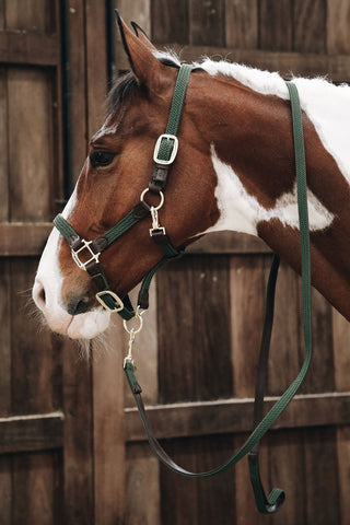 Longe en Cuir Tressé Vert Olive