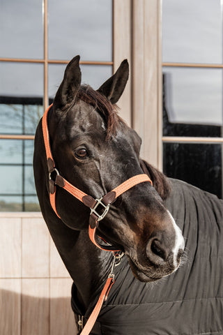 Flettet Nylon Lædergrime Lyseblå