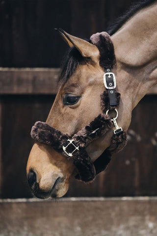 Licol en Peau de Mouton Marron