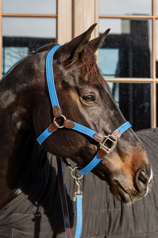Flettet Nylon Lædergrime Lyseblå