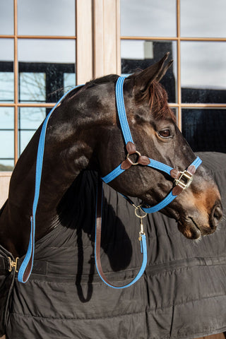 Flettet Lædergrimeskaft Lyseblå