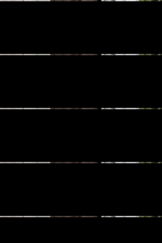 Kentucky Horsewear Repellent Stallbandage