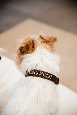 Obroża dla psa z perłami