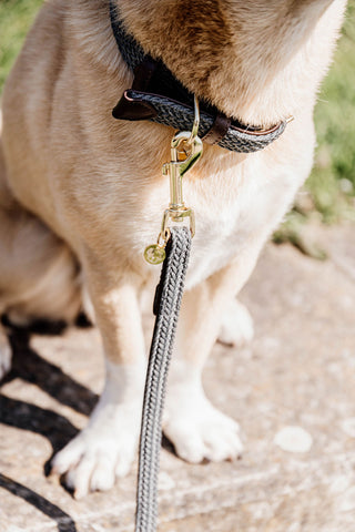 Pleciona nylonowa obroża