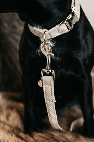 Smycz dla psa z imitacji wełny