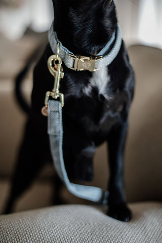 Smycz dla psa z imitacji wełny