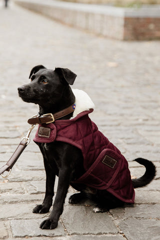 Original Hundedækken 160g